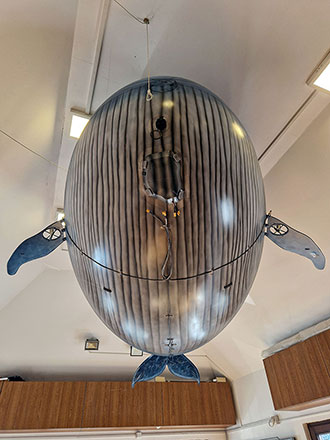 Whale-Blimp-belly-view